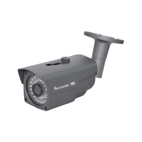 Bullwark  BLW-2202IP