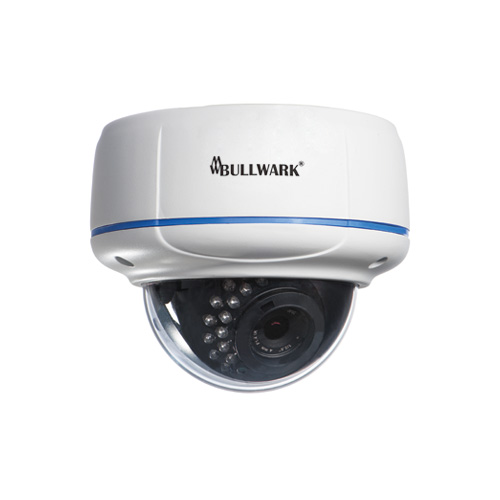 Bullwark  BLW-2201IP-DV